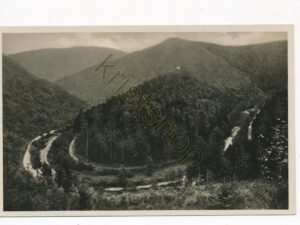 Schwarzwald - Thüringer Wald [010-1754