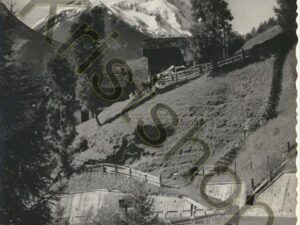 Grossglockner-Hochalpenst rasse [010-2368