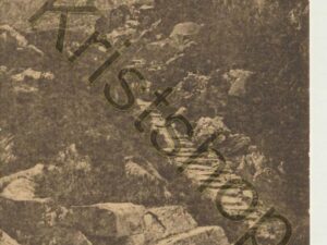 Merioneth - Roman Steps, Ardudwy [010-2429
