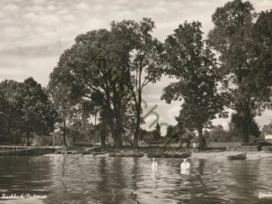 Fischbach - Bodensee [010-2628