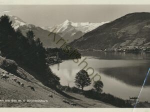 Zell am See md Kitzteinhorn [010-2653