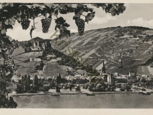 Bacharach am Rhein [010-2676