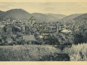 Bad Harzburg - Totalansicht [010-2736