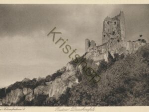 Ruine Drachenfels [010-2852