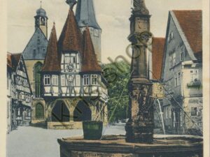Michelstadt i Odenwald - Rathaus und Brunnen [010-2885