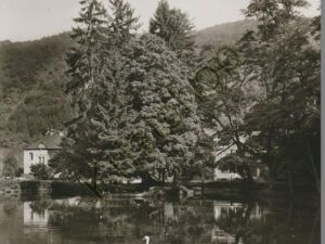 Bad Bertrich - Schwanenteich [010-2897
