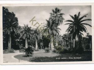 Nervi - Parco Municipale [010-3105