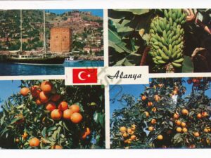 Alanya [010-3277