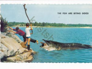 Canada - Ontario - The Golden Town - The Fish are Biting Good [010-3291