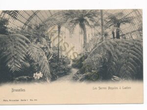 Bruxelles - Les Serres Royales a Laeken [010-3310