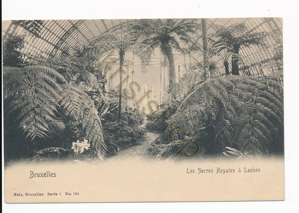 KRST010-3310_0.jpg Bruxelles - Les Serres Royales a Laeken [010-3310