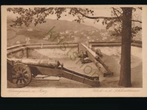 Harz - Wernigerode - Blick vd Schlossterasse [010-3315