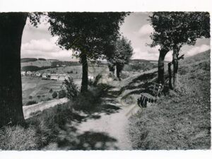 Bergstadt St Andreasberg - An der schiefen Halbe [010-3344
