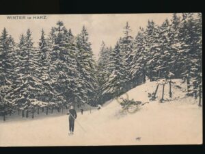 Harz - Winter [010-3368