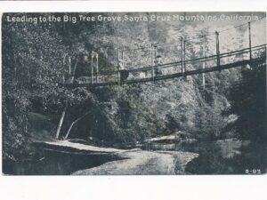 California - Leading to the Big Tree Grave - Santa Cruz Mountains [010-3475