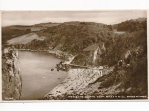Babbacombe - Redgate Beach from Walls Hill [010-3478