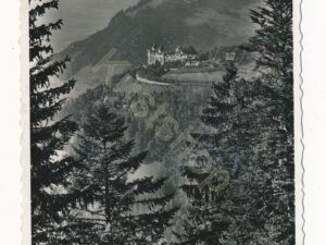 Caux - damage [010-3772