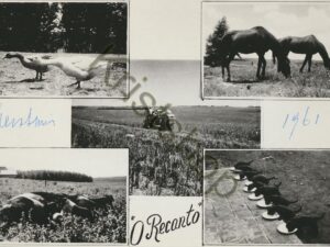 O Recanto [010-4116