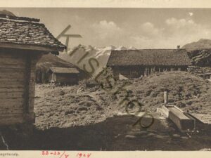 Auf Engstlenalp [010-4298
