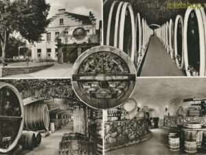 Mayschosser Winzer-Verein - Mayschoss (Ahr) [010-4524