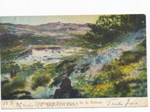 Hollandse Pittoresque - In de Duinen [010-4714