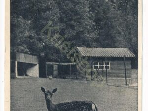 Heerlen - Hertenkamp Aambosch - foto F Lahaye - Maastricht [010-4989
