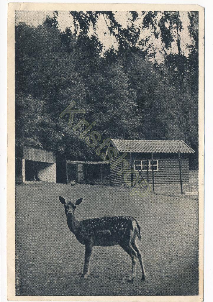 KRST010-4989_0.jpg Heerlen - Hertenkamp Aambosch - foto F Lahaye - Maastricht [010-4989
