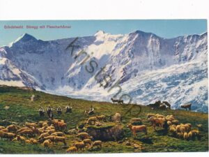 Grindelwald - Bäregg mit Fleschenhörner [010-5138