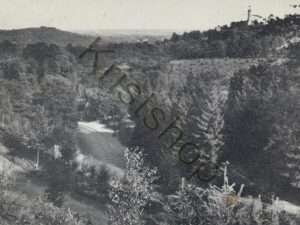 Valkenburg - Vergezicht vanaf de Cauberg [010-5352