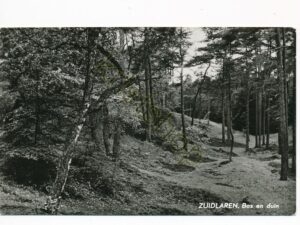Zuidlaren - Bos en Duin [010-5528