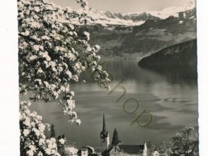 Kurort Weggis - Frühling [010-5720