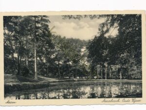 Assen - Asserbosch - Oude vijver [010-5804