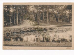Assen - Asserbosch - Oude vijver [010-5815