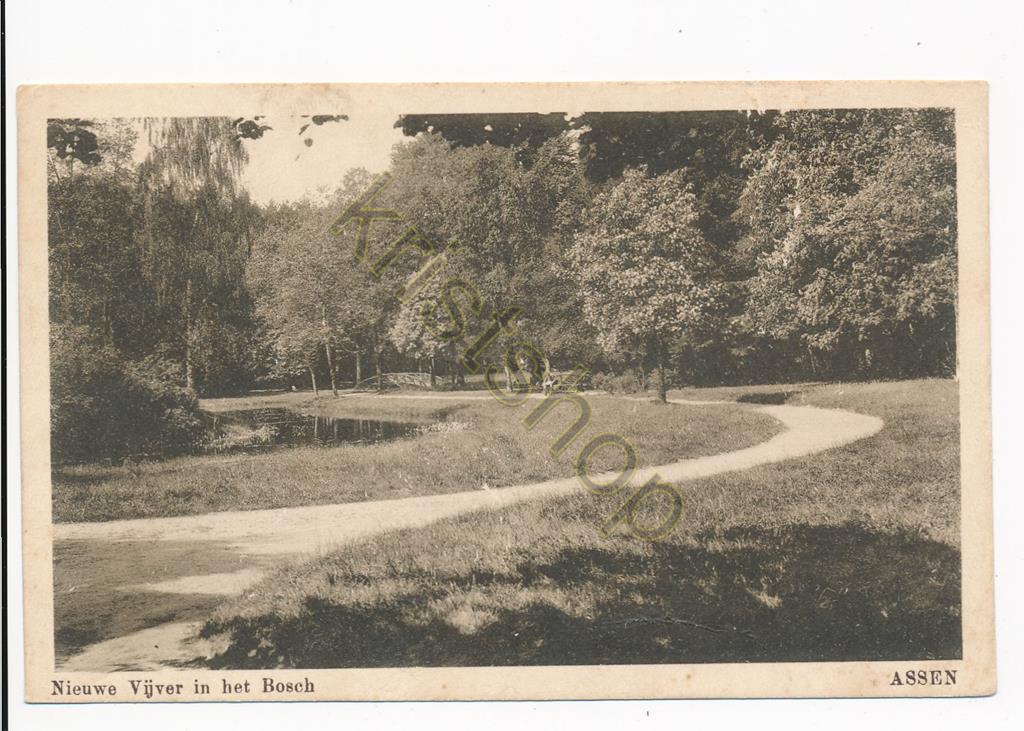KRST010-5816_0.jpg Assen - Nieuwe vijver in het Bosch [010-5816
