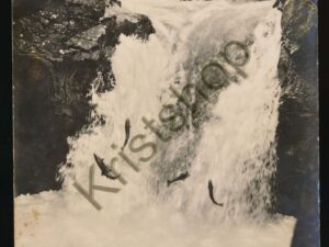 Norge -Kaksen hopper [010-6238
