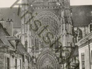 Cathédrale de Sense (Yonne)  [010-6419