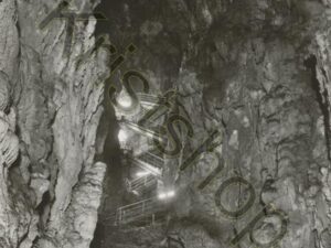 Grotta Gigante (Trieste) [010-6476