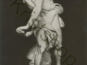 Roma - Bernini - David [010-6501