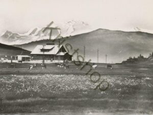 Col des Aravis (Hte-Savoie)  [010-6666