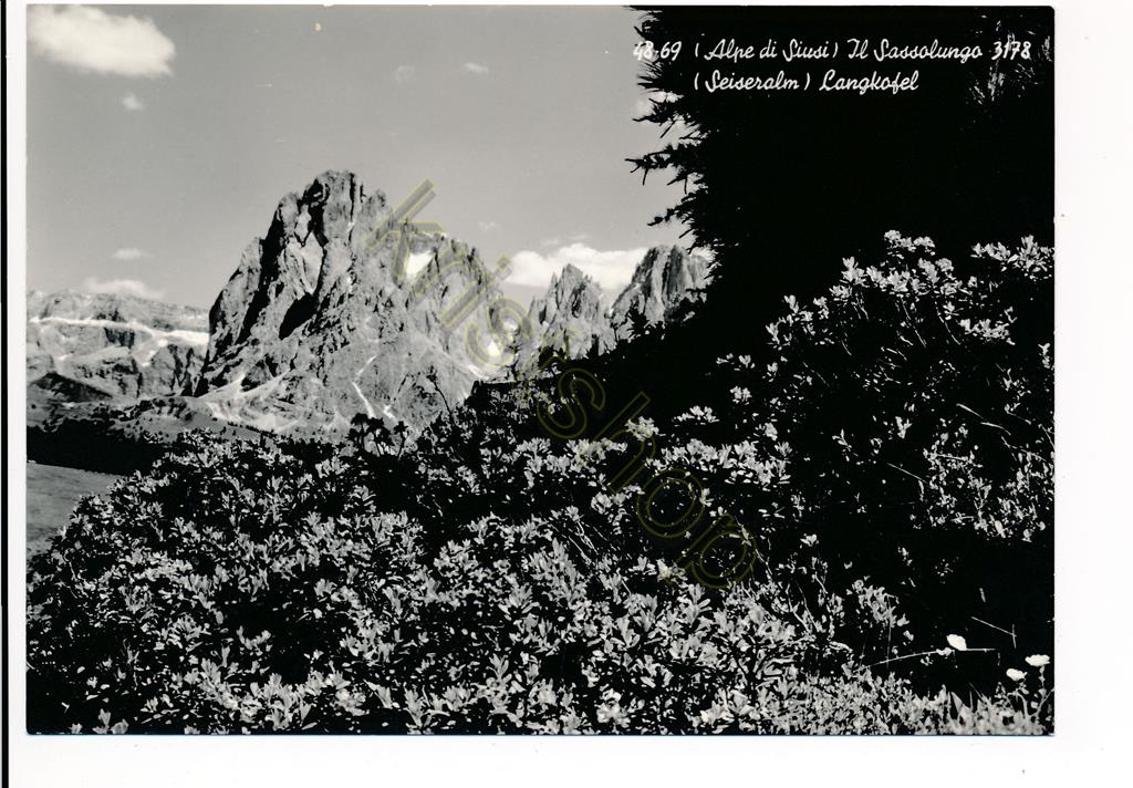 KRST010-7308_0.jpg Alpe di Siusi - Il Sassolungo - Seiseralm-Langkofel [KRST010-7308
