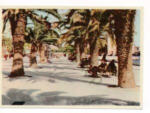 Split [KRST010-7396
