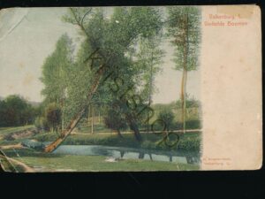 Valkenburg - Verliefde Bomen [KRST010-7403