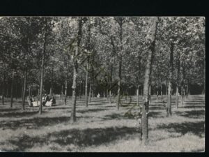 Nunhem - Huiize St Elisabeth [KRST010-7408