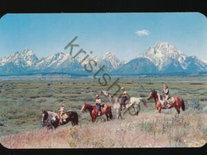 Horseback riders in the Jackson Hole [KRST010-7538