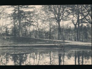Assen - Stadsbosch - Oude Vijver [003-5308