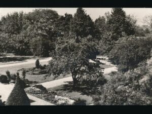 Utrecht - Diaconessenhuis - Zustertuin [003-5326