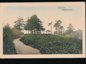 Middachterbosch - Kijkover [003-5335