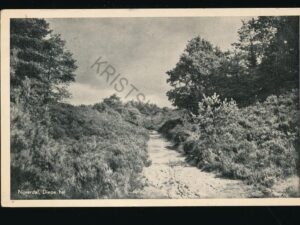 Nijverdal - Diepe hel [003-5373