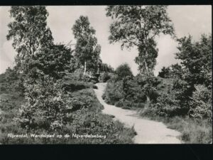 Nijverdal - Wandelpad [003-5375