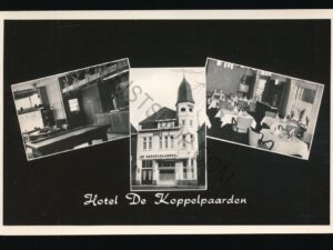 Lichtenvoorde - Hotel De Koppelpaarden - meerluik - [003-5404
